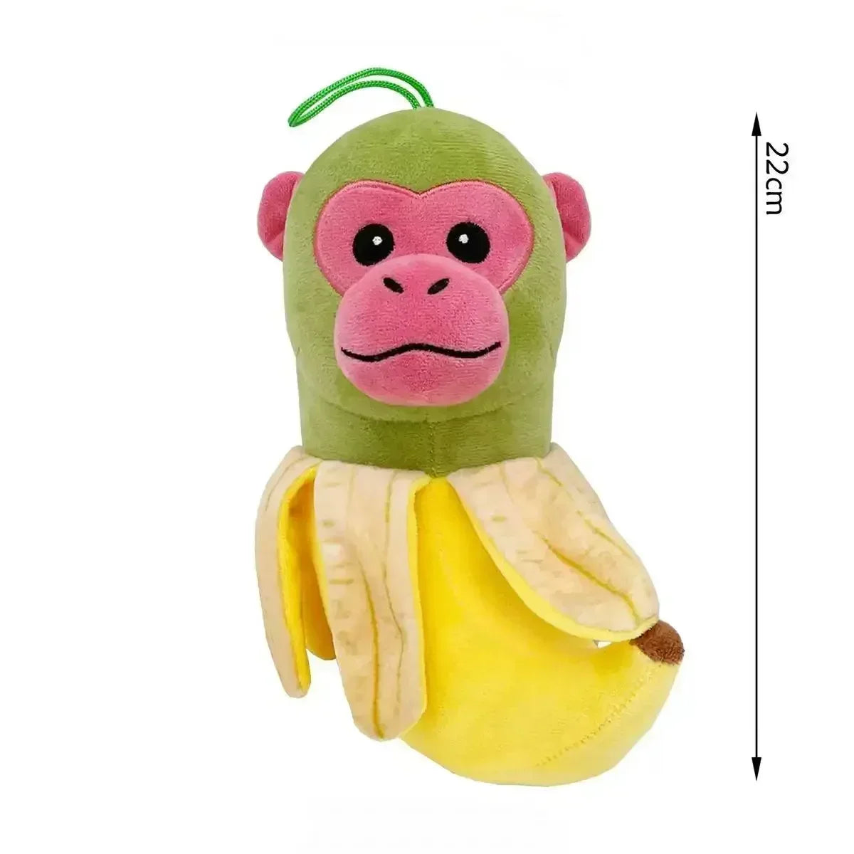 Hjärnrotsvargbjörn