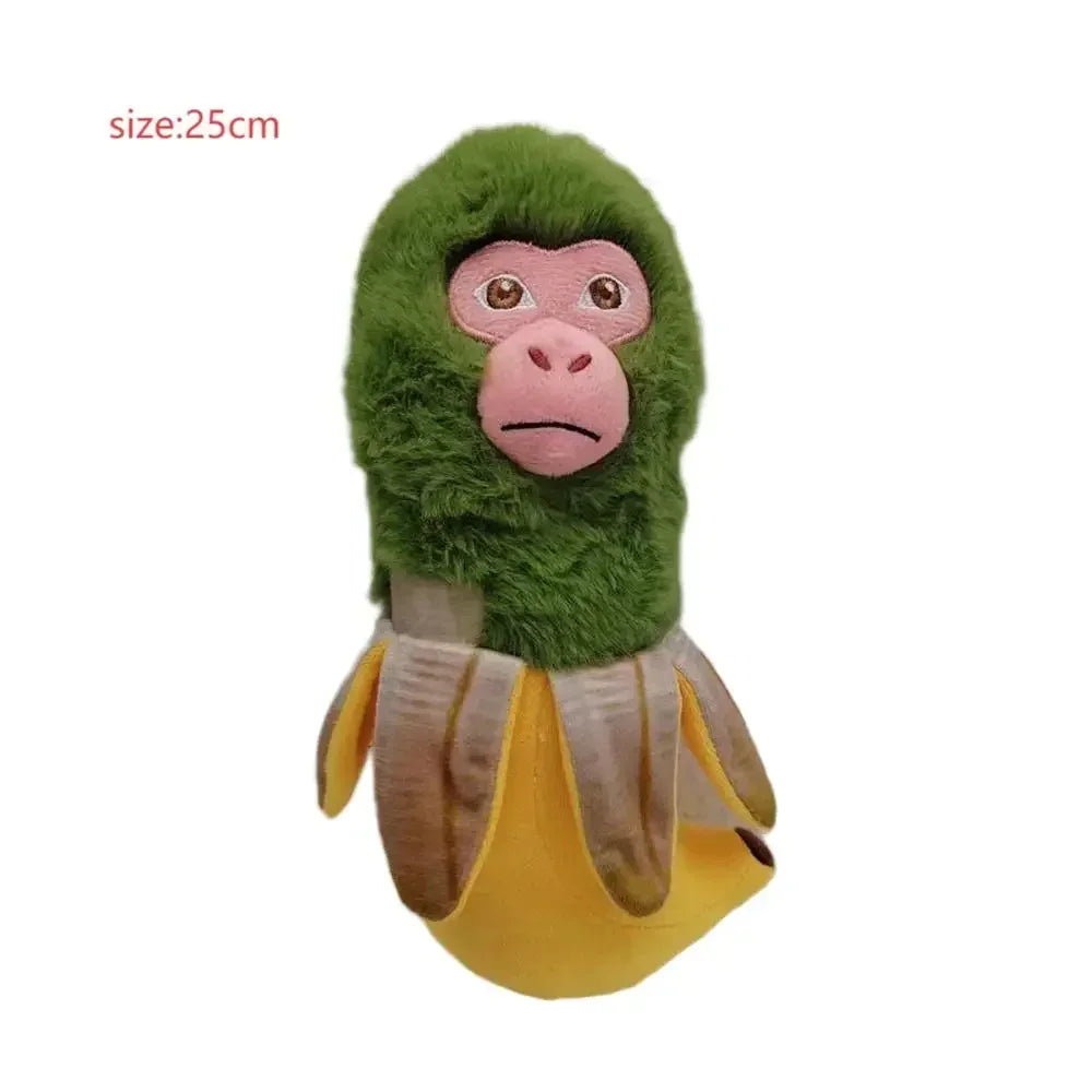 Hjärnrotsvargbjörn